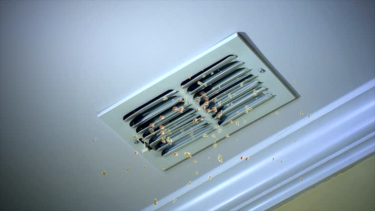 Best Ventilation Cleaning Services  in Alturas, FL