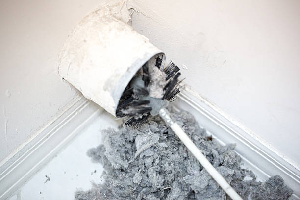 Best Residential Air Duct Cleaning  in Alturas, FL